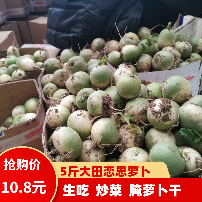 安徽阜阳特产正宗恋思小萝卜脆甜萝卜/胡萝卜