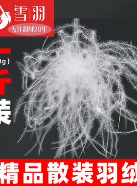一斤装散装羽绒90白鸭绒95鹅绒羽绒服羽绒被填充物吊吊鹅绒毛原料
