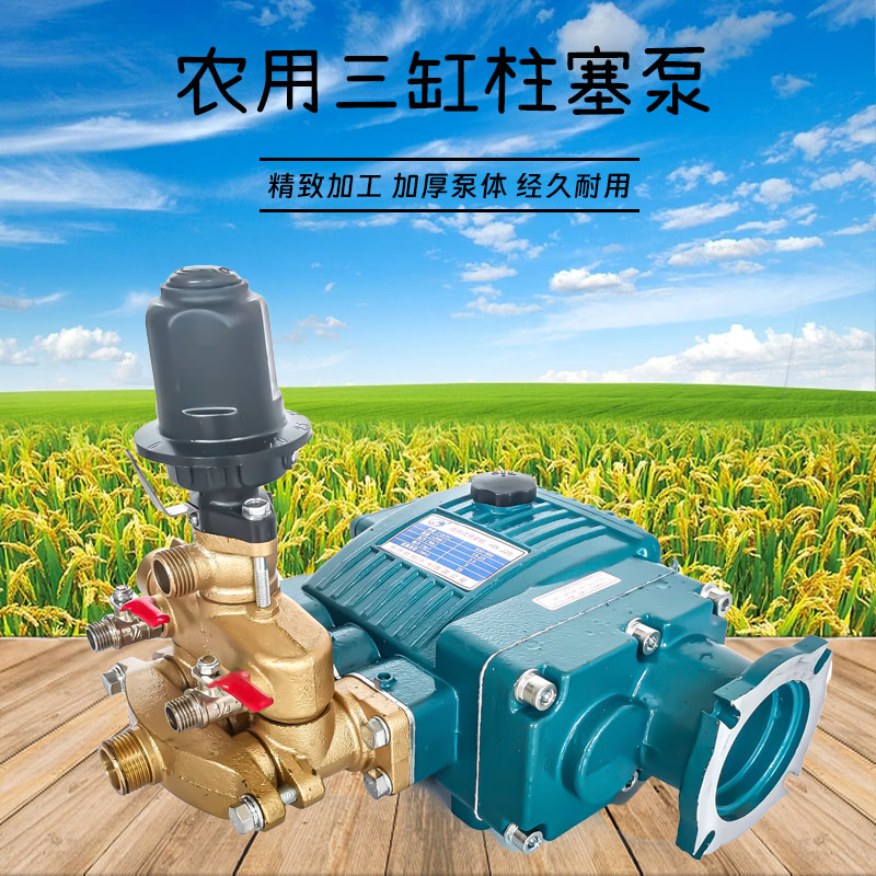 打药机泵头高压农用喷雾器柱塞泵
