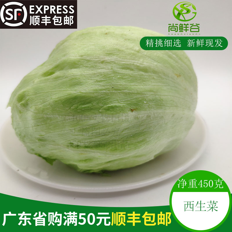 球生菜新鲜结球生菜生菜西生菜生吃沙拉汉堡食材餐厅450g左右