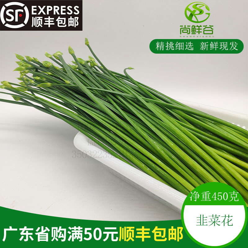 新鲜蔬菜韭菜苔 韭菜花 韭苔 450g 青韭菜(和图片一样)