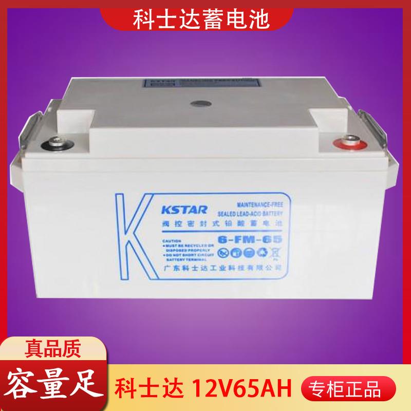 蓄电池6-FM-65 12V65AH免维护蓄电池 UPSEPS专用电源