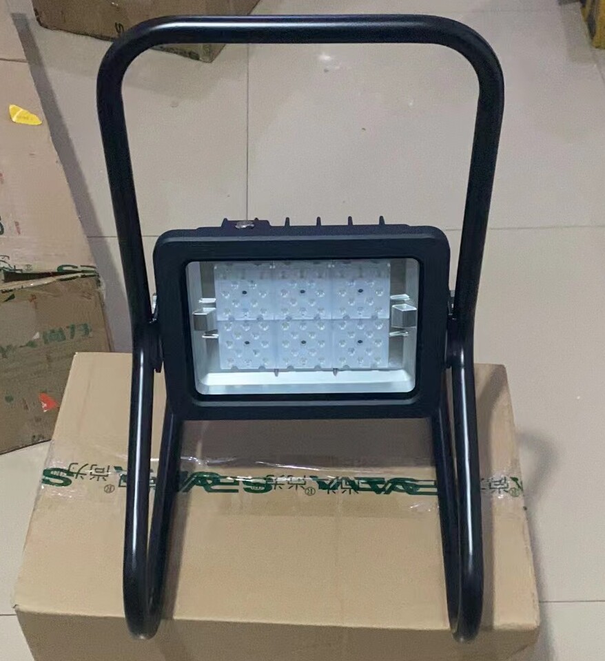 SZSW2951便携照明灯50W图片