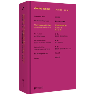 不负责任的自我:论笑与小说 小说机杼作者詹姆斯·伍德文学批评集 北京联合出版公司
