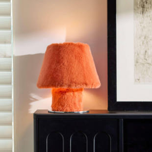 LIGHTING毛绒台灯创意高级感卧室客厅桌面装 36.5℃ 饰台灯 ZOO