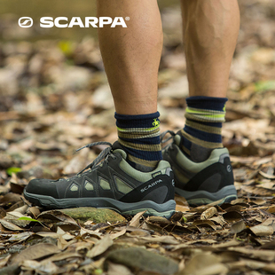 SCARPA思嘉帕莫林GTX男低帮基础版防滑户外登山徒步鞋63074-201