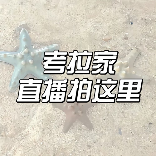 直播间专拍