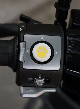 适用25款极核AE4my25电动车max/pro新款摇杆保护套改装配件饰品