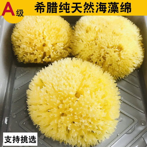 希腊进口天然海藻绵艺术印花工具