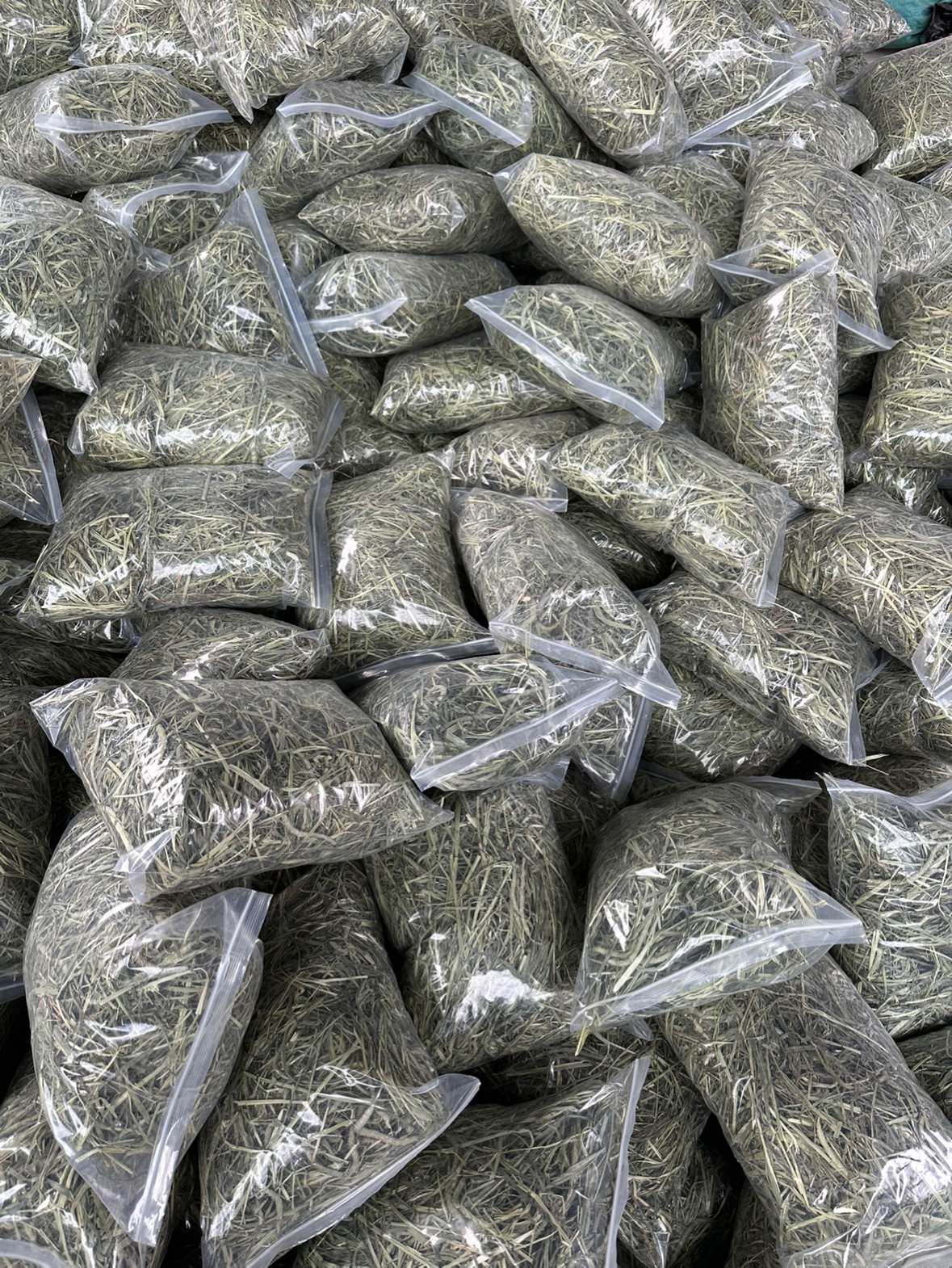 25年晒干提摩西草满5斤包邮