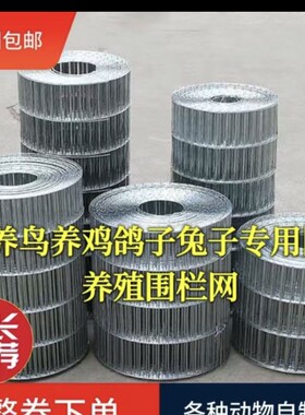 整卷鸟笼网长孔加粗镀锌钢丝网鸽舍地网养鸡鸽兔笼围栏网小孔网
