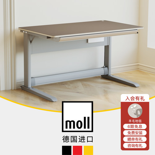 德国摩尔moll快捷升降书桌办公桌