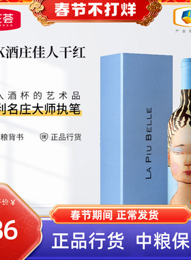 智利原瓶进口VIK佳人酒庄2020干红葡萄酒750ml单支礼盒装中粮正品