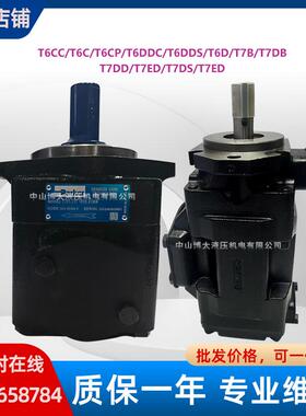 美国T7DDS-E38-E38-1R01-A1M0双联伺服泵压铸机挤压机船舶机械