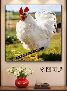 白色翻毛金鸡报晓客厅装饰画