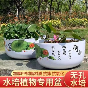 荷花盆无孔水培绿植睡莲盆栽特大塑料圆形加厚仿陶瓷树脂加厚花盆