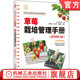草莓栽培管理手册 机械工业出版 原书修订版 9787111735502 社 伏原肇 官网正版