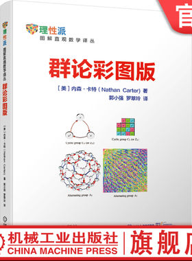 官网正版 群论彩图版 内森 卡特 郭小强 罗翠玲 初级课程 观察魔方 晶体学 数字群 代数定义 群族 青少年数列微积分解析几何 科普