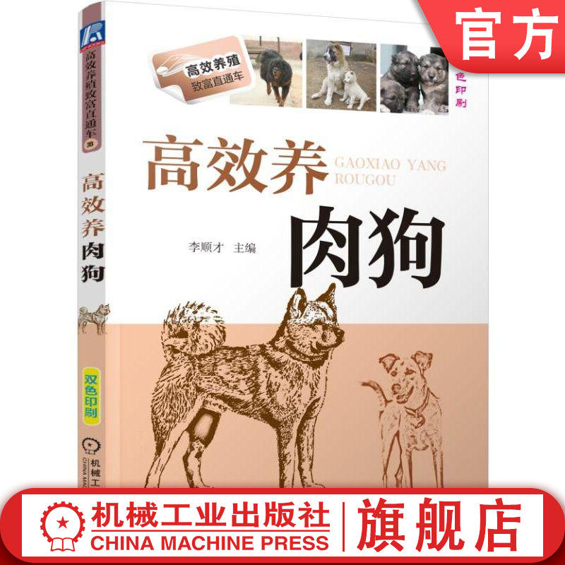 官网正版 高效养肉狗 李顺才 养殖致富直通车 经典实用技术图书 农业技能培训教材 机械工业出版社旗舰店