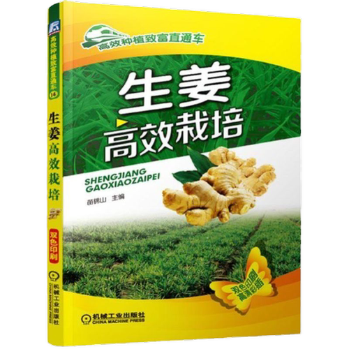 官网正版 生姜 高效栽培 苗锦山 种植致富直通车 农业经典实用技术图书 技能培训教材 机械工业出版社旗舰店