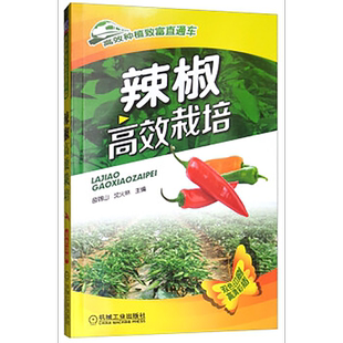 官网正版 辣椒高效栽培 苗锦山 沈火林 栽培实例 农业种植 育苗技术 营养价值 田间管理 整地 施肥 定植 知识点栏目