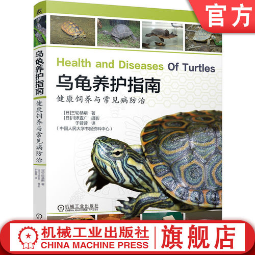 专业兽医教你养好乌龟