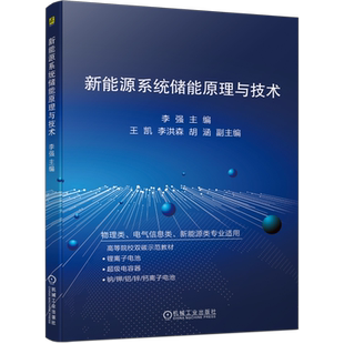 官网正版 新能源系统储能原理与技术 李强 王凯 李洪森 胡涵 锂离子电池 正负极材料 电解液 隔膜 组装测试 电容器