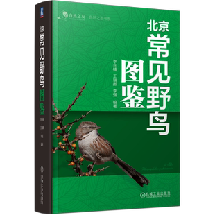 官网正版 北京常见野鸟图鉴 李兆楠 王瑞卿 李强 科普 北京 观鸟 实用的观鸟口袋工具书 方便携带 机械工业出版社