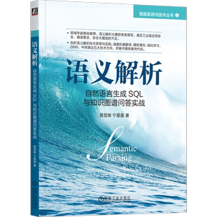 官网正版 语义解析 自然语言生成SQL与知识图谱问答实战 易显维 宁星星 数据集 前置技术 数据预处理 模型构建 优化技巧