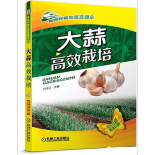 官网正版 大蒜高效栽培 刘冰江 品种选择 管理技术 蒜苗 蒜黄 轮作 间套作 病虫草害诊断 储藏保鲜 加工 农业种植培训教材