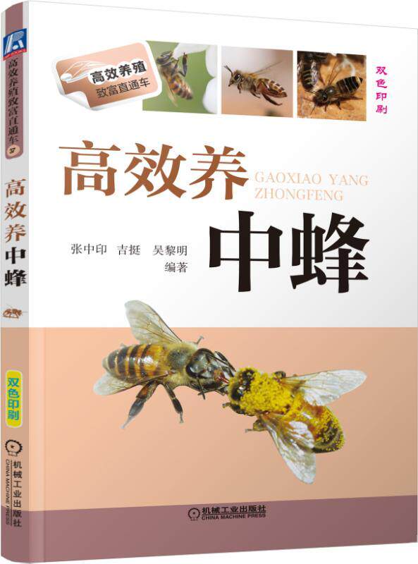 官方正版 高 效养中蜂 张中印 养殖致富直通车 经典实用技术图书 农业技能培训教材