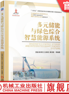 官网现货 多元储能与绿色综合智慧能源系统 贺徙 耿学文 王承民 黄淳驿 储能系统 储能政策 储能技术 机械工业出版社