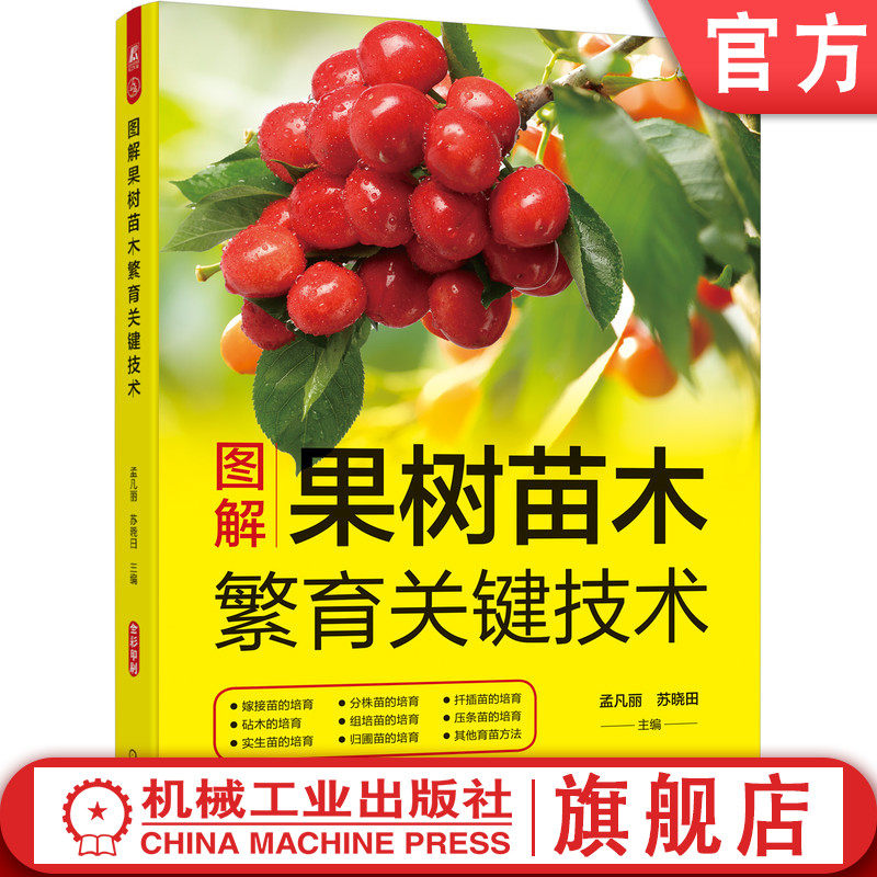 官网正版 图解果树苗木繁育关键技术 嫁接苗 砧木 实生苗 分株苗 归圃苗 扦插苗 苹果 梨 山楂 杏 李子 樱桃 葡萄 草莓 榛子 蓝莓