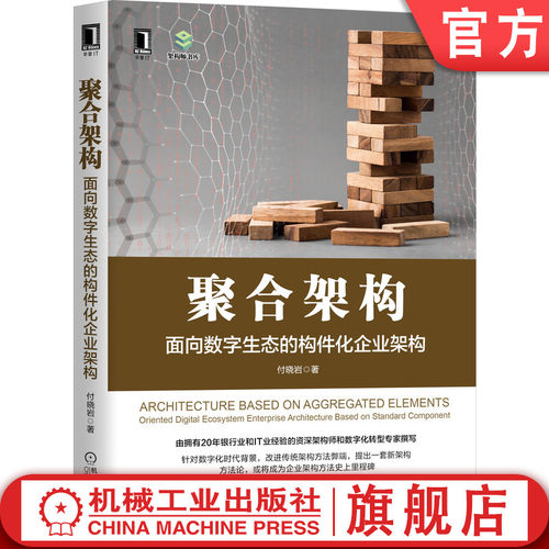 资深架构师付晓岩新作