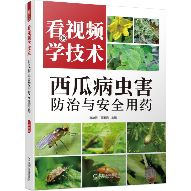 官网正版 看视频学技术 西瓜病虫害防治与安全用药 袁培祥 霍玉娟 病虫害发生规律 症状 预防 图谱 田间诊断