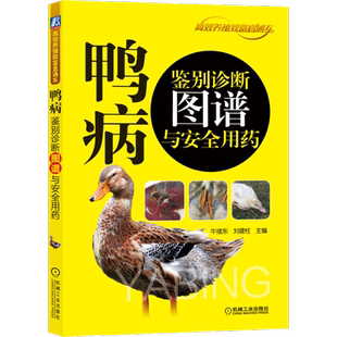 官网正版 鸭病鉴别诊断图谱与安全用药 牛绪东 刘建柱 消化系统 发生因素 感染途径 腹泻 鉴别要点 运动系统 病理剖检