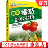 双色印刷 小窍门 技巧指南 官网正版 实用技术图书 景炜明农业种植 经典 技能培训教材 棚室番茄高效栽培