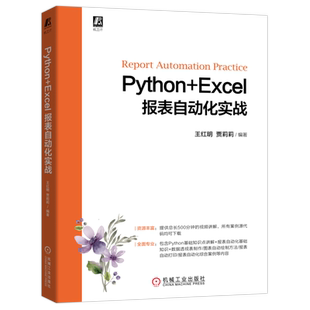 官网正版 Python+Excel报表自动化实战 王红明 工作表 字体格式 函数计算 数据筛选 分类汇总 图表绘制 打印方法 综合案例