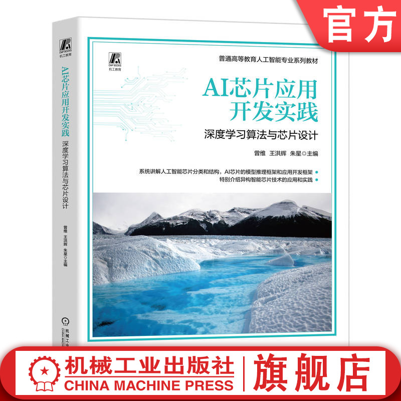 AI芯片设计（同构与异构）开发实践