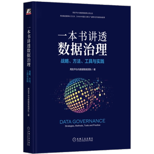 官网正版 一本书讲透数据治理 战略 方法 工具与实践 用友平台与数据智能团队 用户画像 DAMA 标签 数据管理