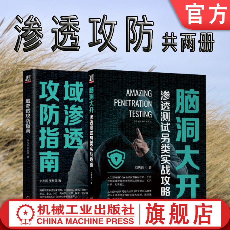 套装 官网正版 渗透攻防 共2册 域渗透攻防指南 脑洞大开 渗透测试另类实战攻略