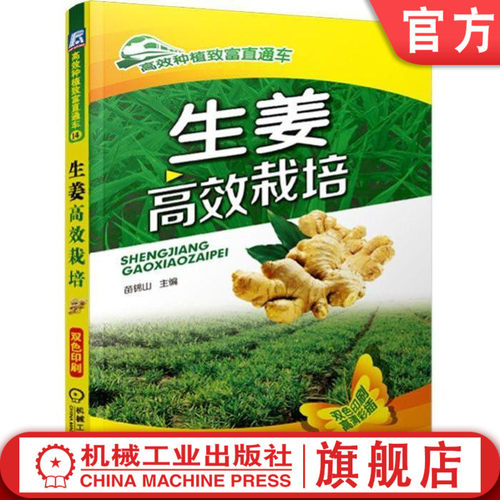 官网正版 生姜 高效栽培 苗锦山 种植致富直通车 农业经典实用技术图书 技能培训教材 机械工业出版社旗舰店 - 封面