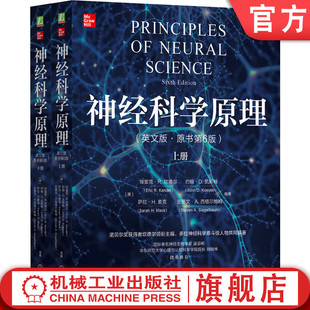 官网正版 神经科学原理（英文版·原书第6版）神经科学 神经科学原理 诺贝尔奖 教科书金标准 埃里克·R.坎德尔 认知 行为