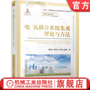 可再生能源 滕越 加氢技术 高压储氢 清洁能源 碳中和 电 氢耦合系统集成理论与方法 袁铁江 官网现货 田雪沁 能源集成 闫华光