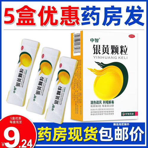 【中智】银黄颗粒4g*10袋/盒