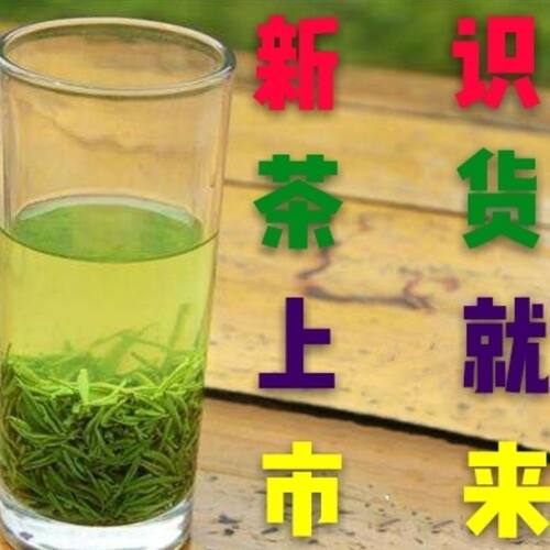 明前绿茶湖北竹溪特产