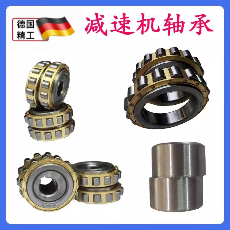 摆线 线针轮减速机配件/偏心套偏心轴承/圆柱滚子轴承/RN206 205