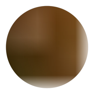 梨树苗早酥红梨树苗红啤梨果树苗南方北方种植庭院盆栽地栽水果苗