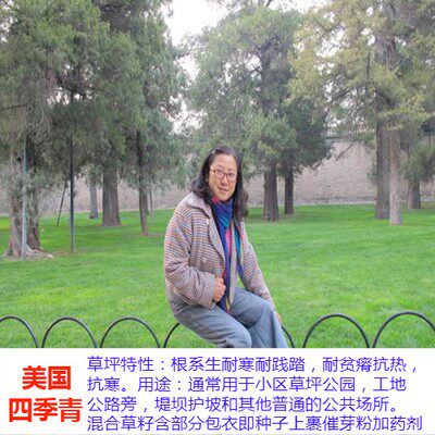 草籽 草坪种子 绿化 小区 工地 美国