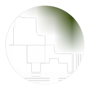 肉丝瓜种子苗棱蔬菜籽种大全四季瓜苗带土苗秧孑种籽特大早熟高产